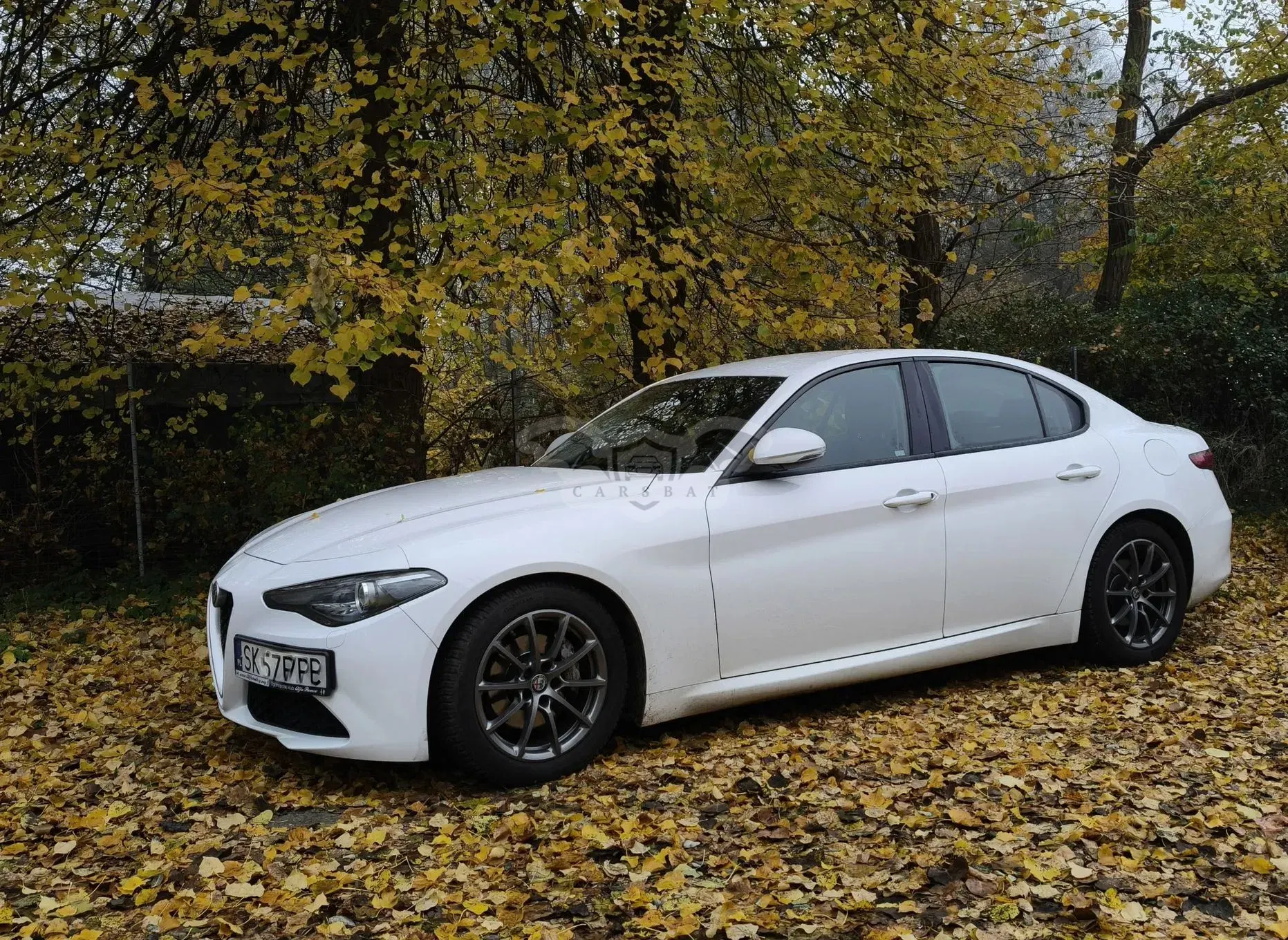 Alfa Romeo Giulia 2016