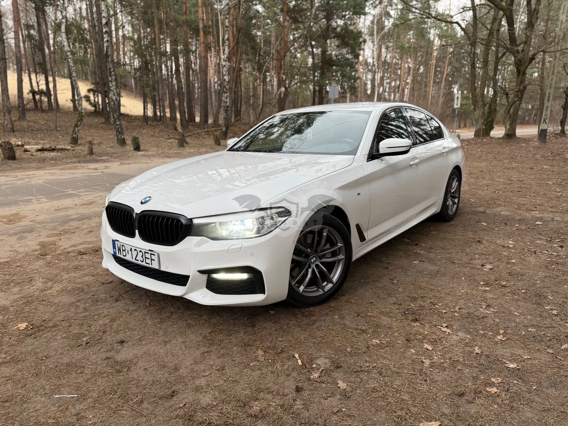 BMW 5 Series G30/G31 520d xDrive M Sport sport 2018