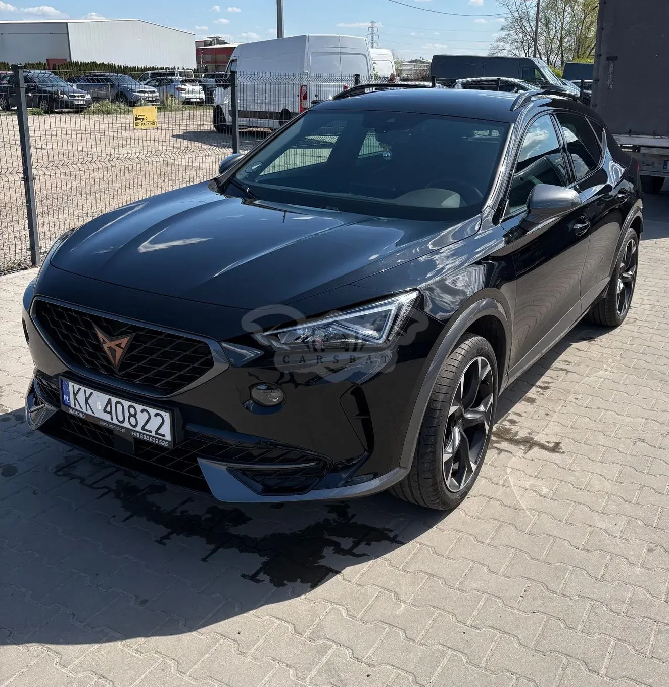 Cupra Formentor 1.5 TSI DSG Tribe Edition 2023