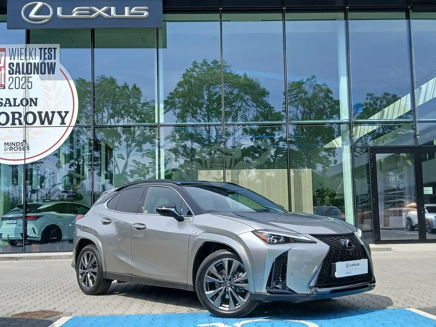 Lexus UX 300h F Sport AWD 2025