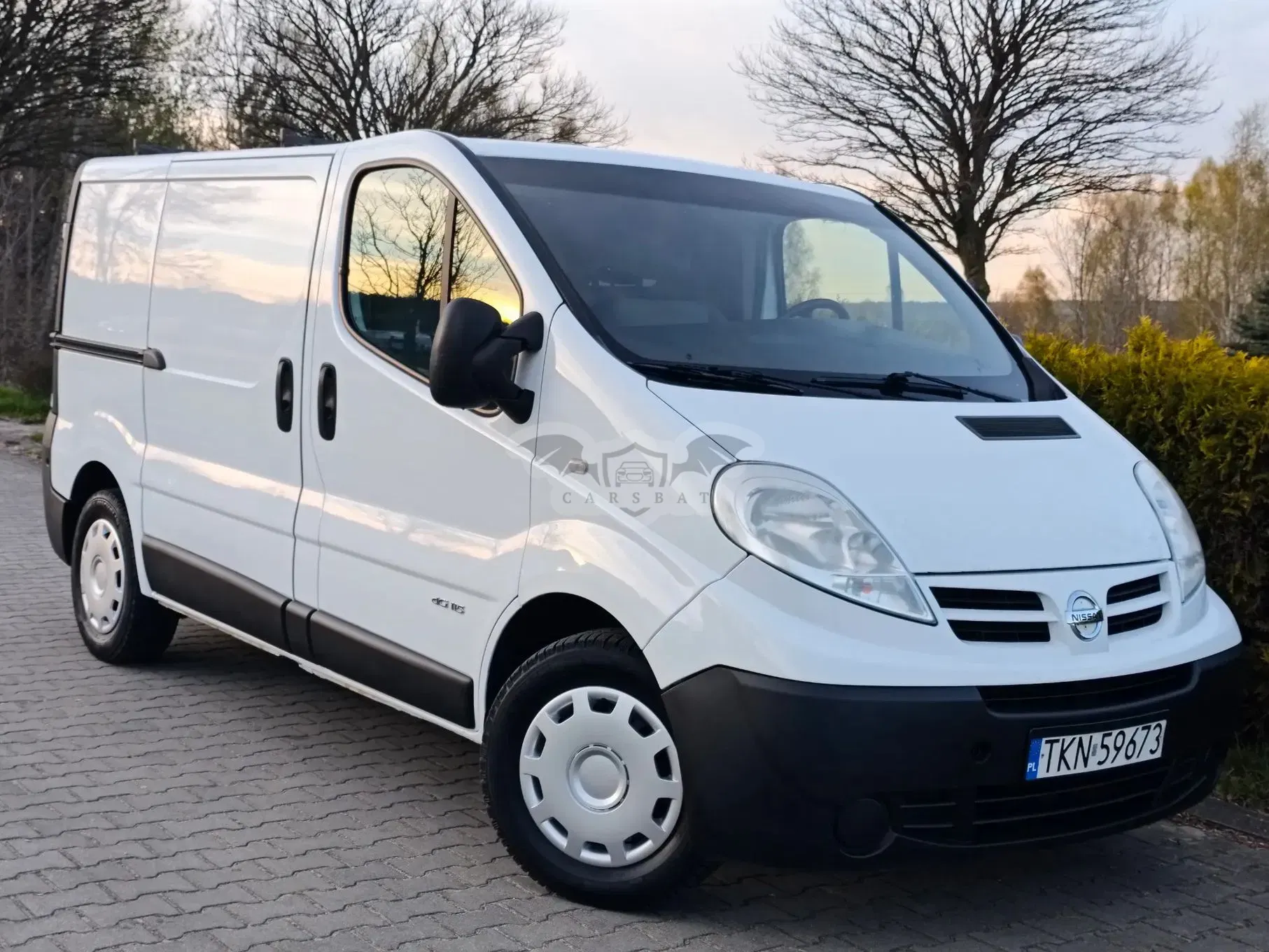 Renault Trafic 2010