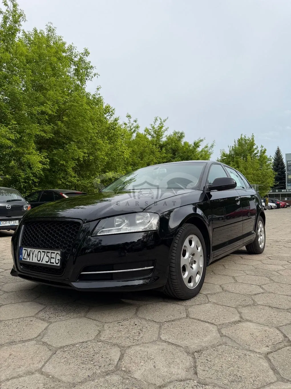 Audi A3 8P 1.6 TDI DPF Ambition 2011