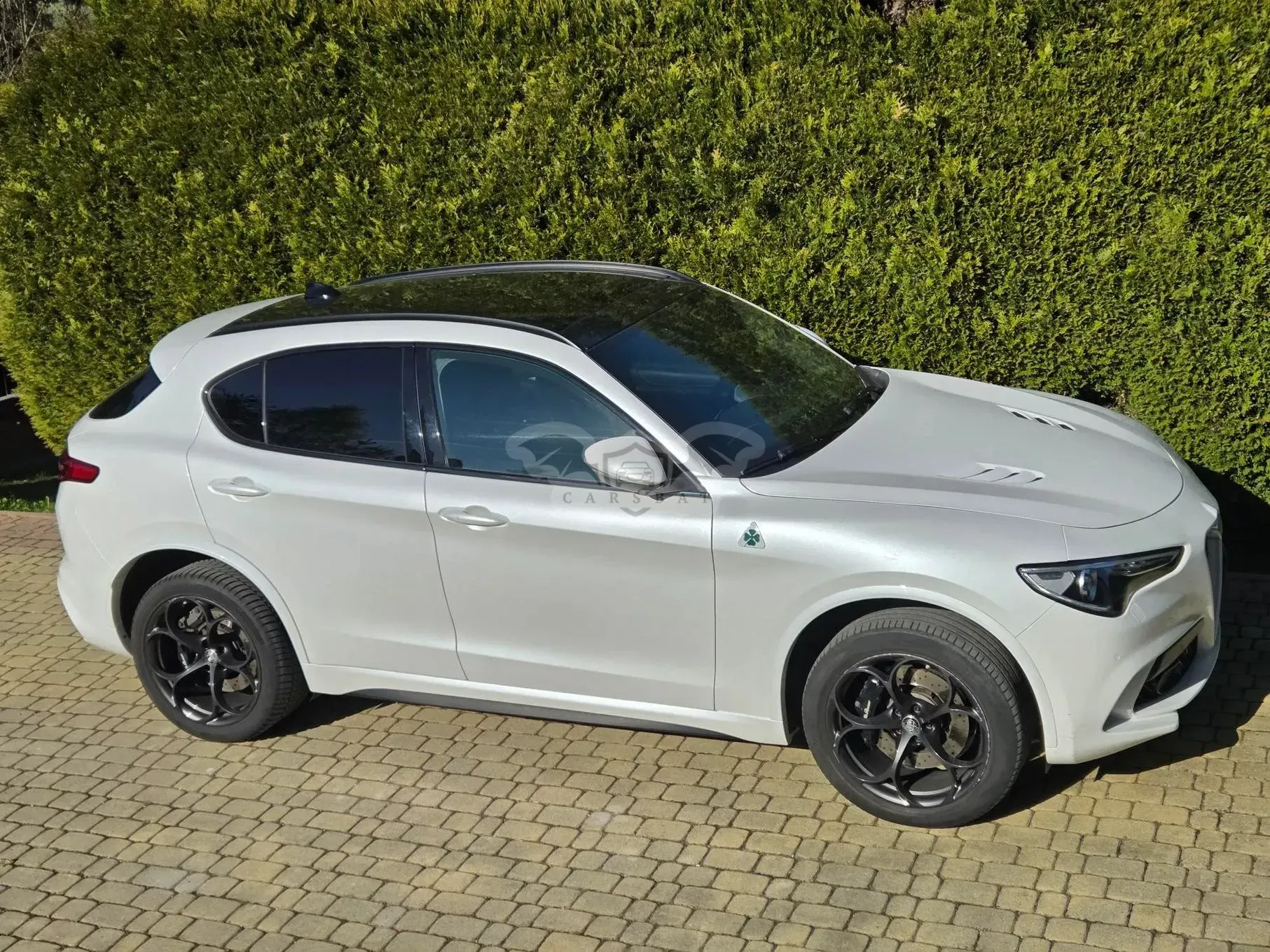 Alfa Romeo Stelvio 2.9 V6 Bi-Turbo Quadrifoglio Niring Q4 2019