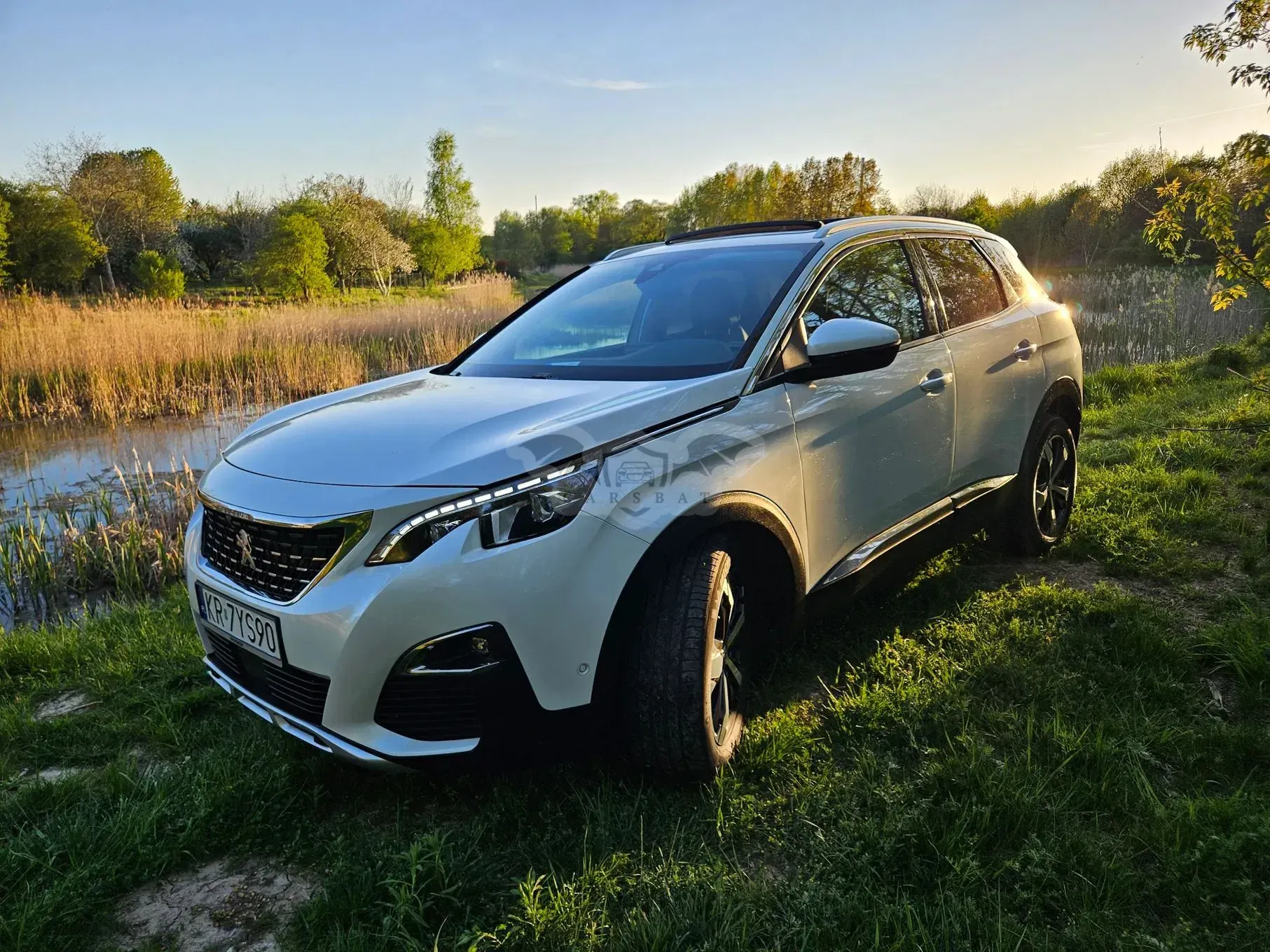 Peugeot 3008 II BlueHDi 130 Stop & Start Allure Business-Paket 2019