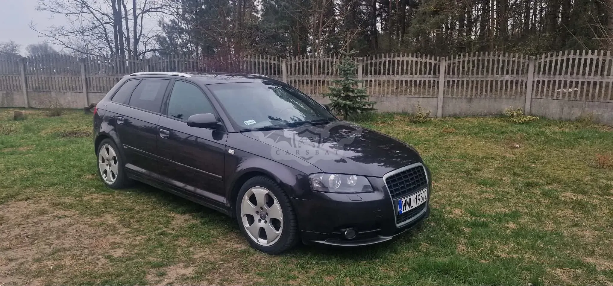 Audi A3 8P 2.0 TDI DPF Quattro Ambition 2006