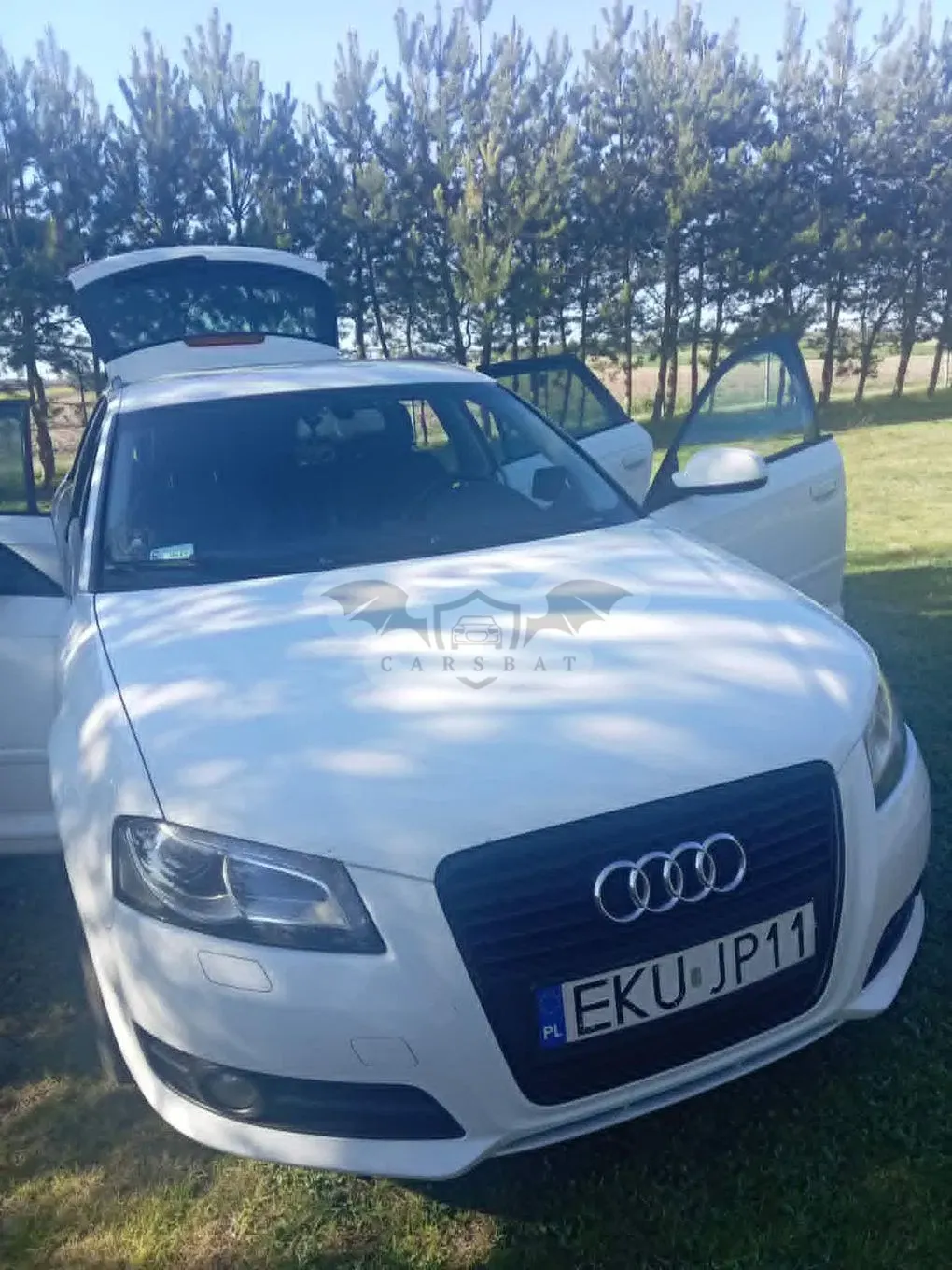Audi A3 8P 2012