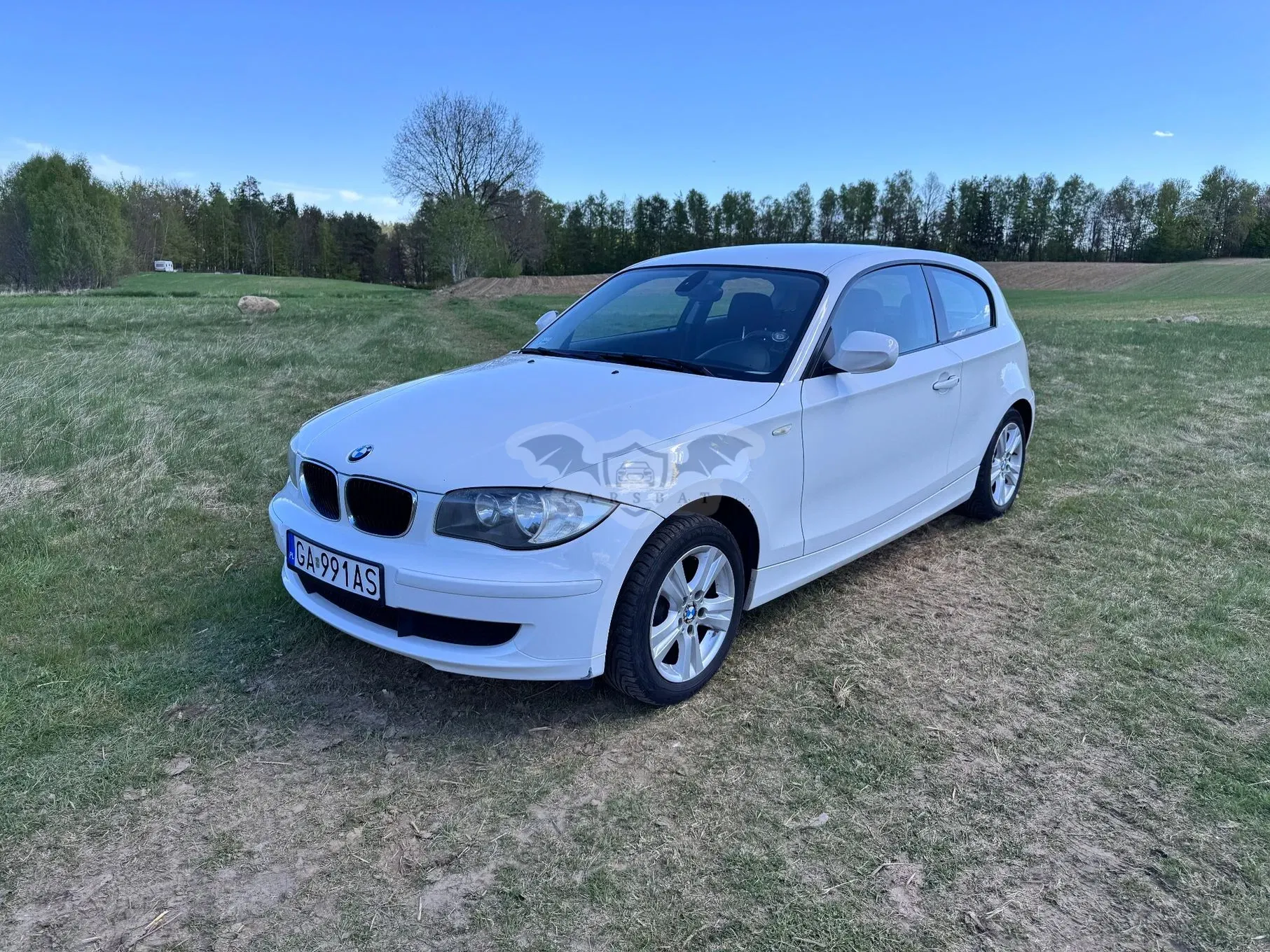 BMW 1 Series E81/E87 116i 2010