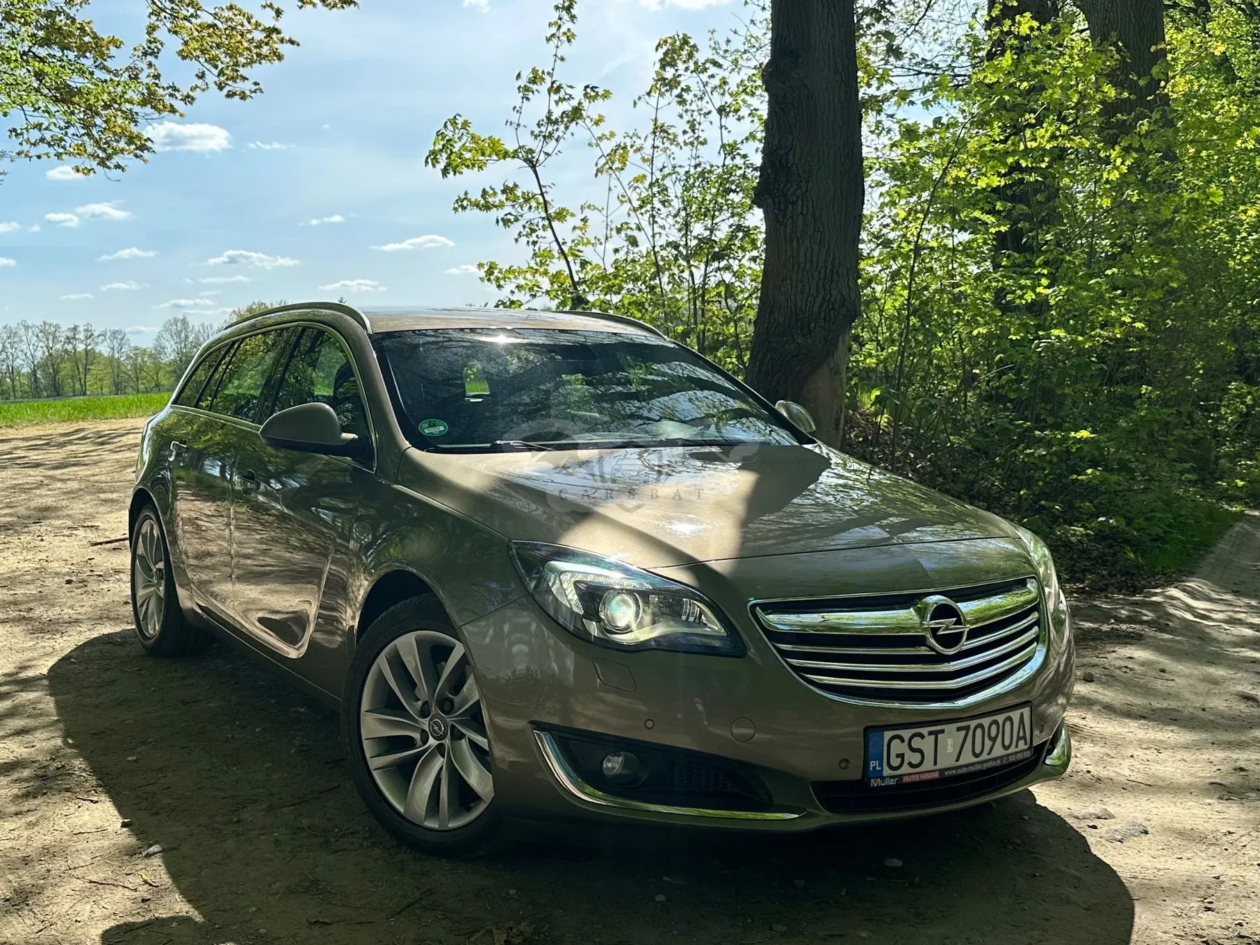 Opel Insignia A 2.0 CDTI Executive S&S 2014