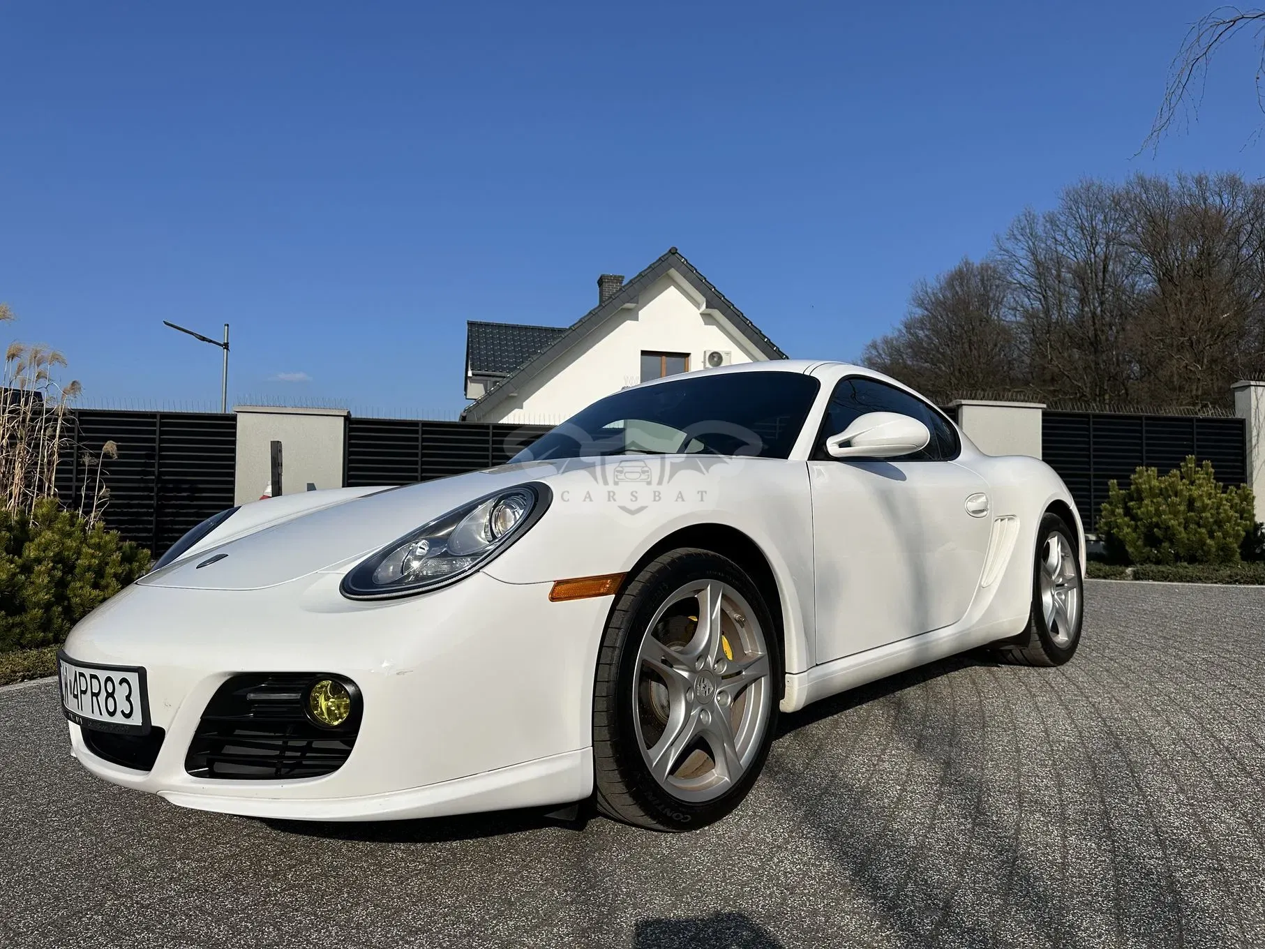Porsche Cayman Standard 2011