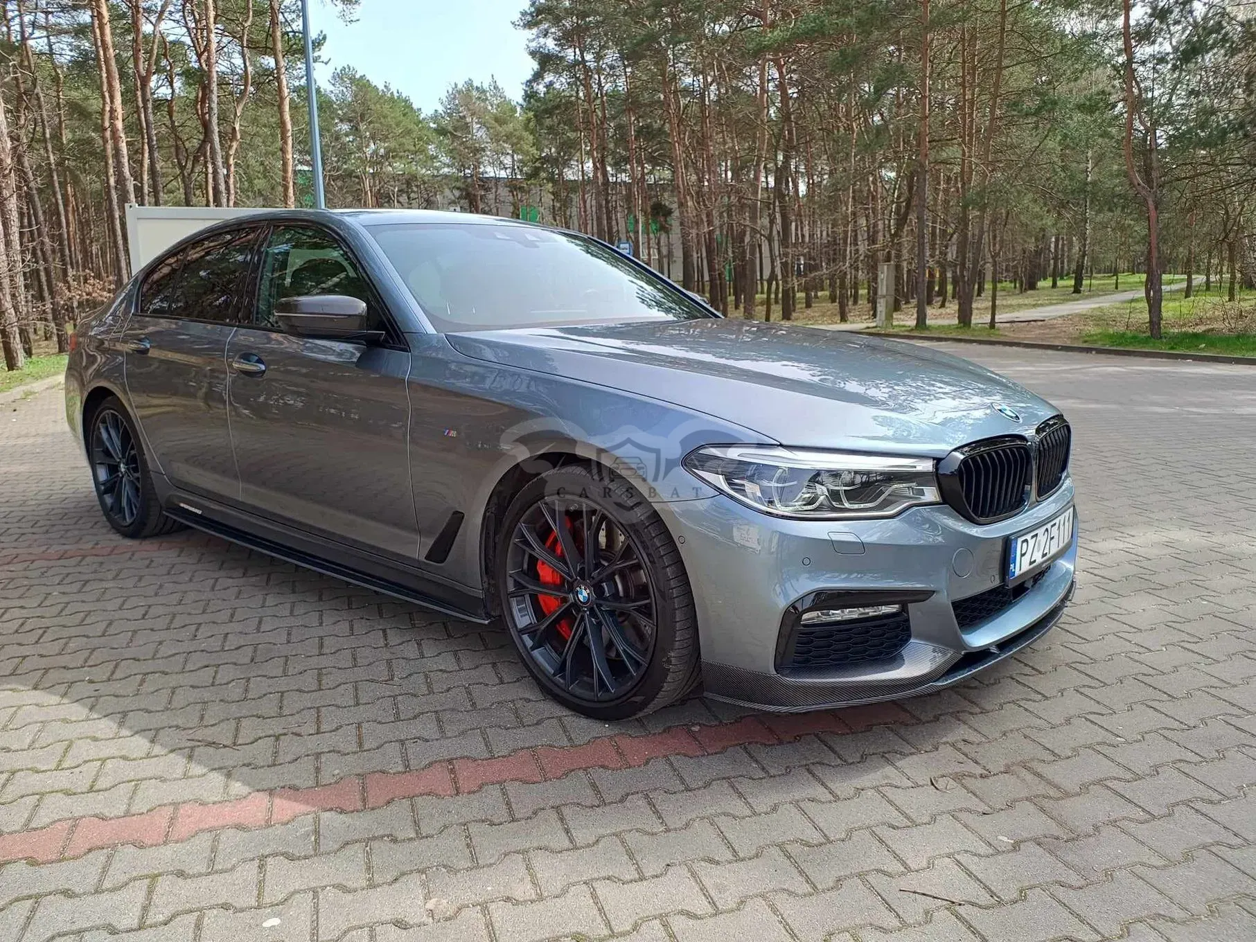 BMW 5 Series G30/G31 530d xDrive M Sport sport 2017