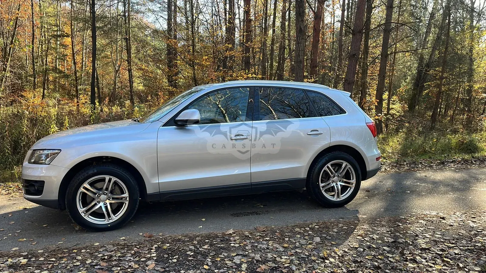 Audi Q5 8R 2009