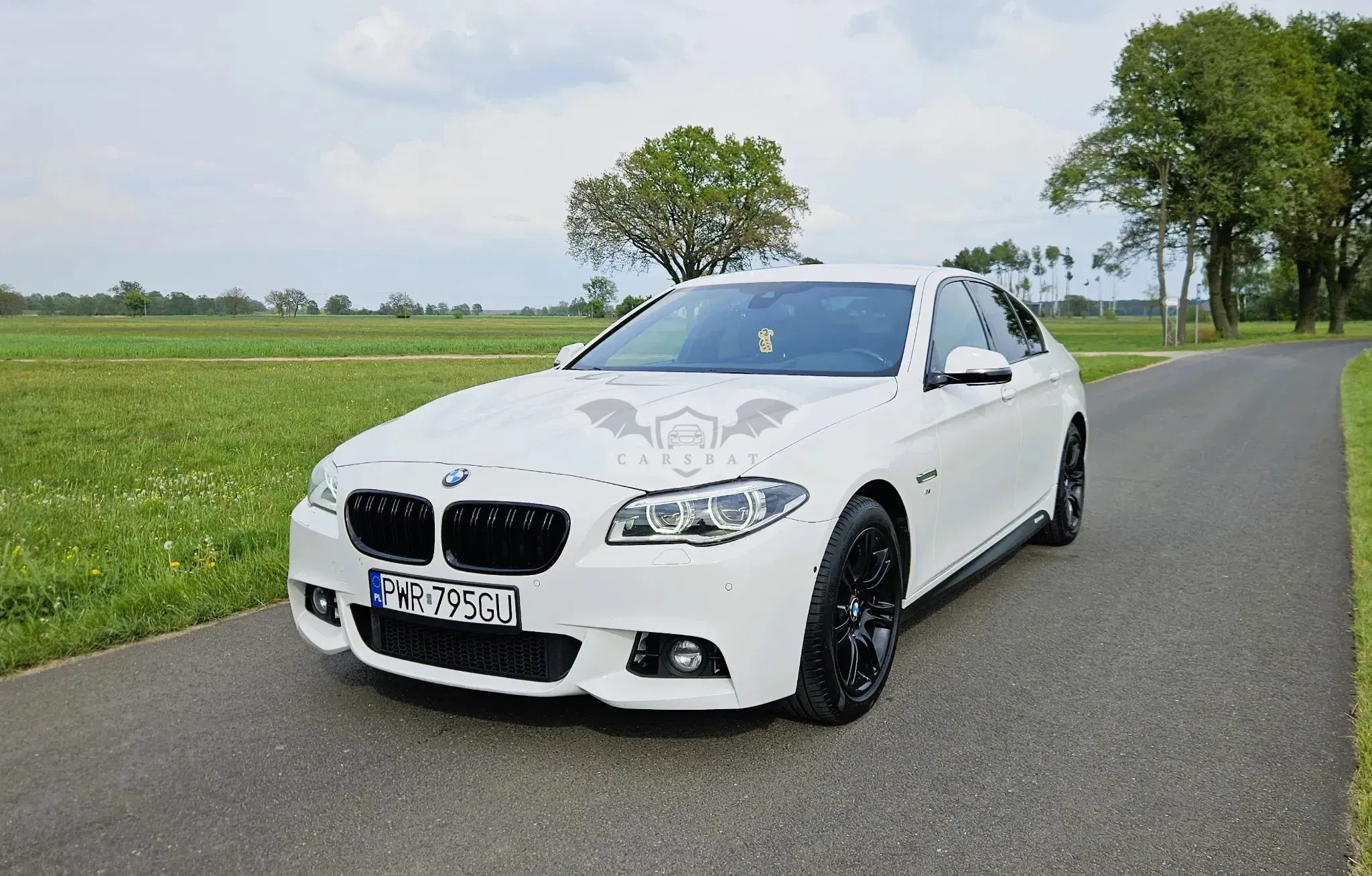 BMW 5 Series F10/F11 520d xDrive 2014