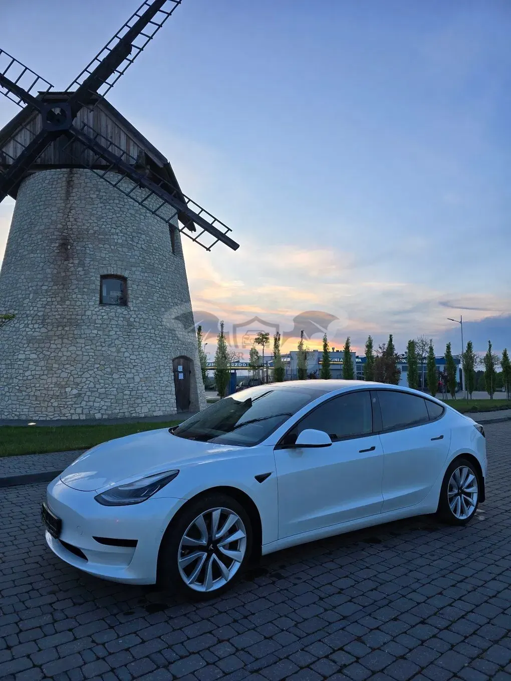 Tesla Model 3 Standard Reichweite Plus Hinterradantrieb 2019