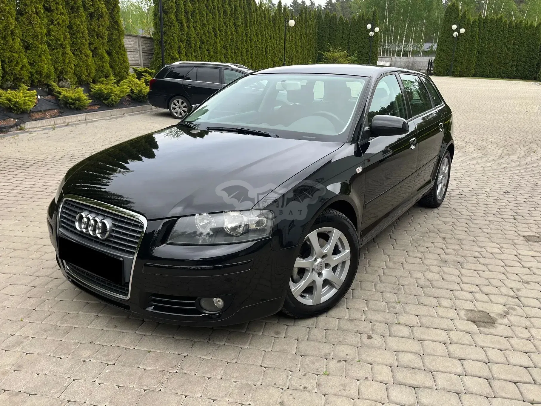 Audi A3 8P 2008