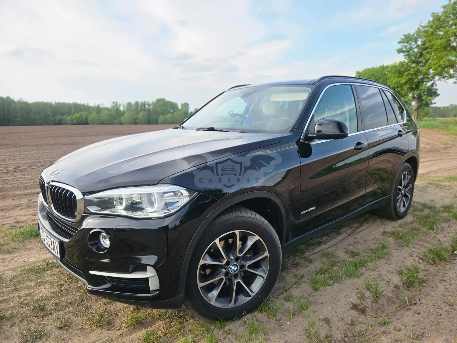 BMW X5 F15 xDrive25d 2015