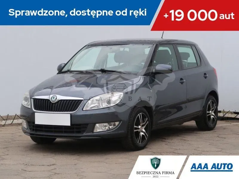 Skoda Fabia II 2010