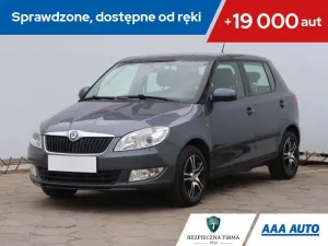 Skoda Fabia II 2010