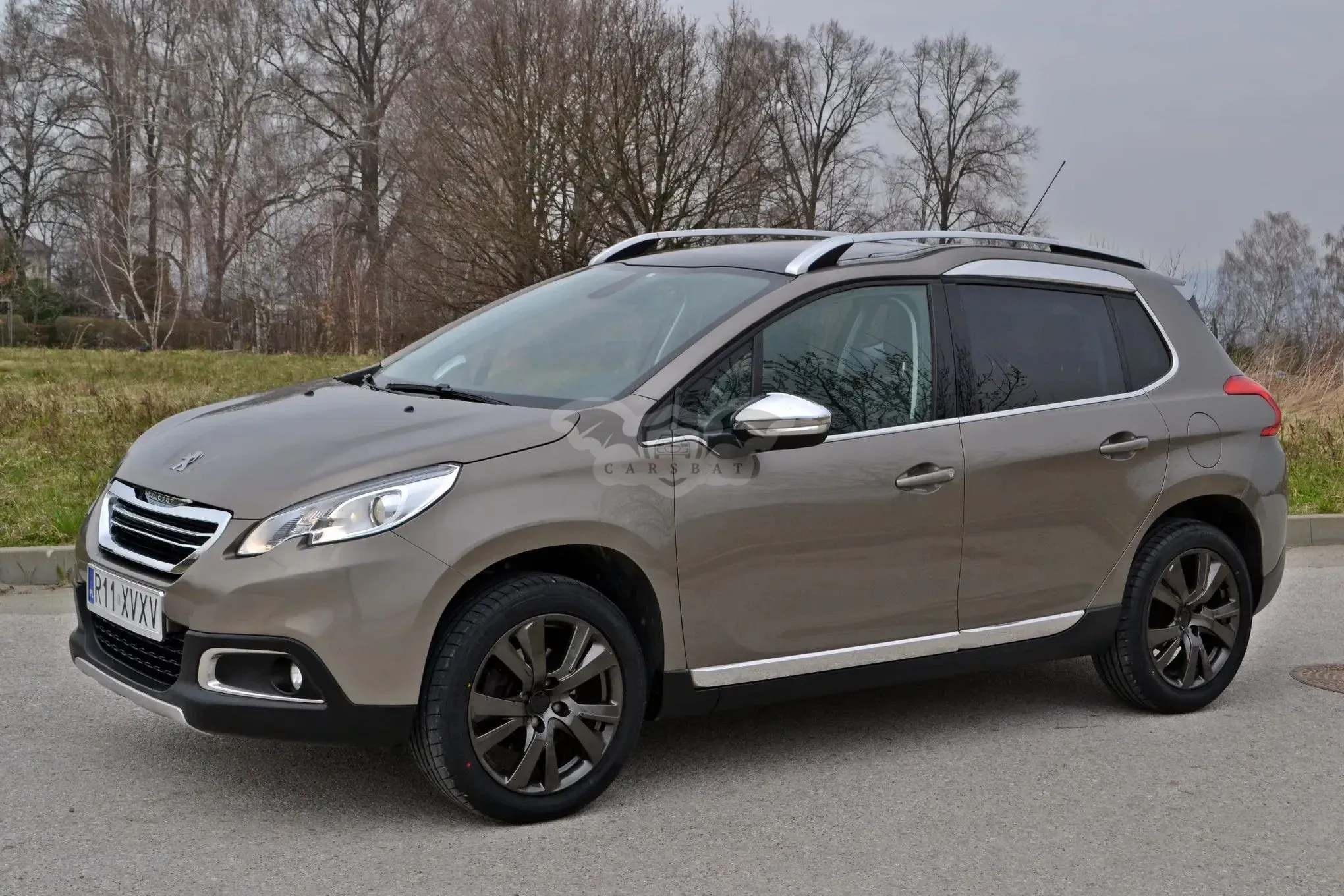 Peugeot 2008 I 2013