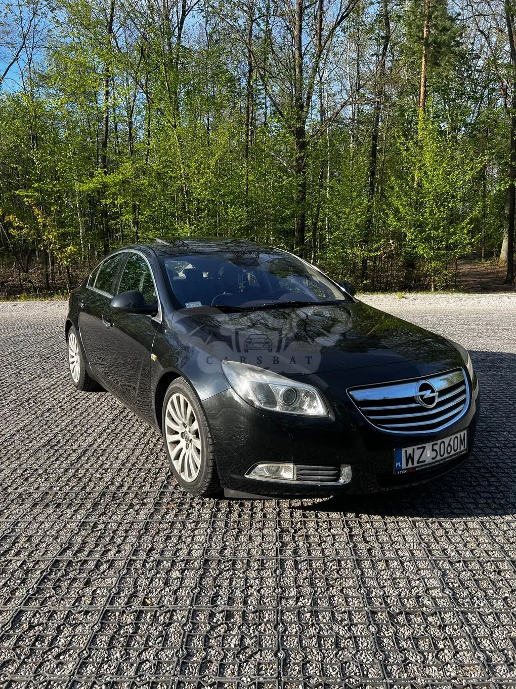 Opel Insignia A 2.0 CDTI Cosmo ecoFLEX 2010