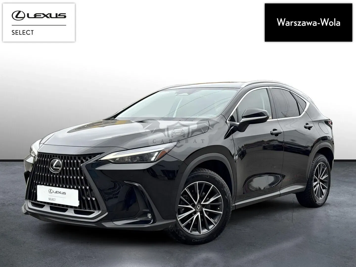 Lexus NX II 350h Business AWD 2022
