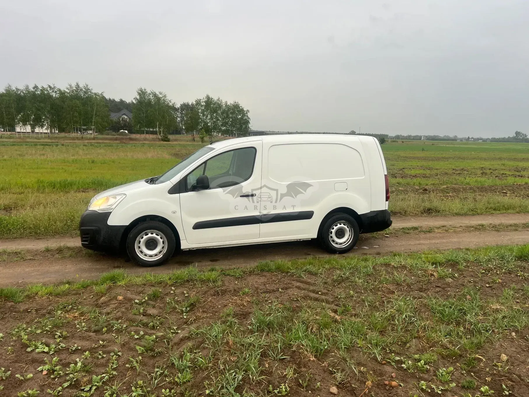 Citroën Berlingo 2017