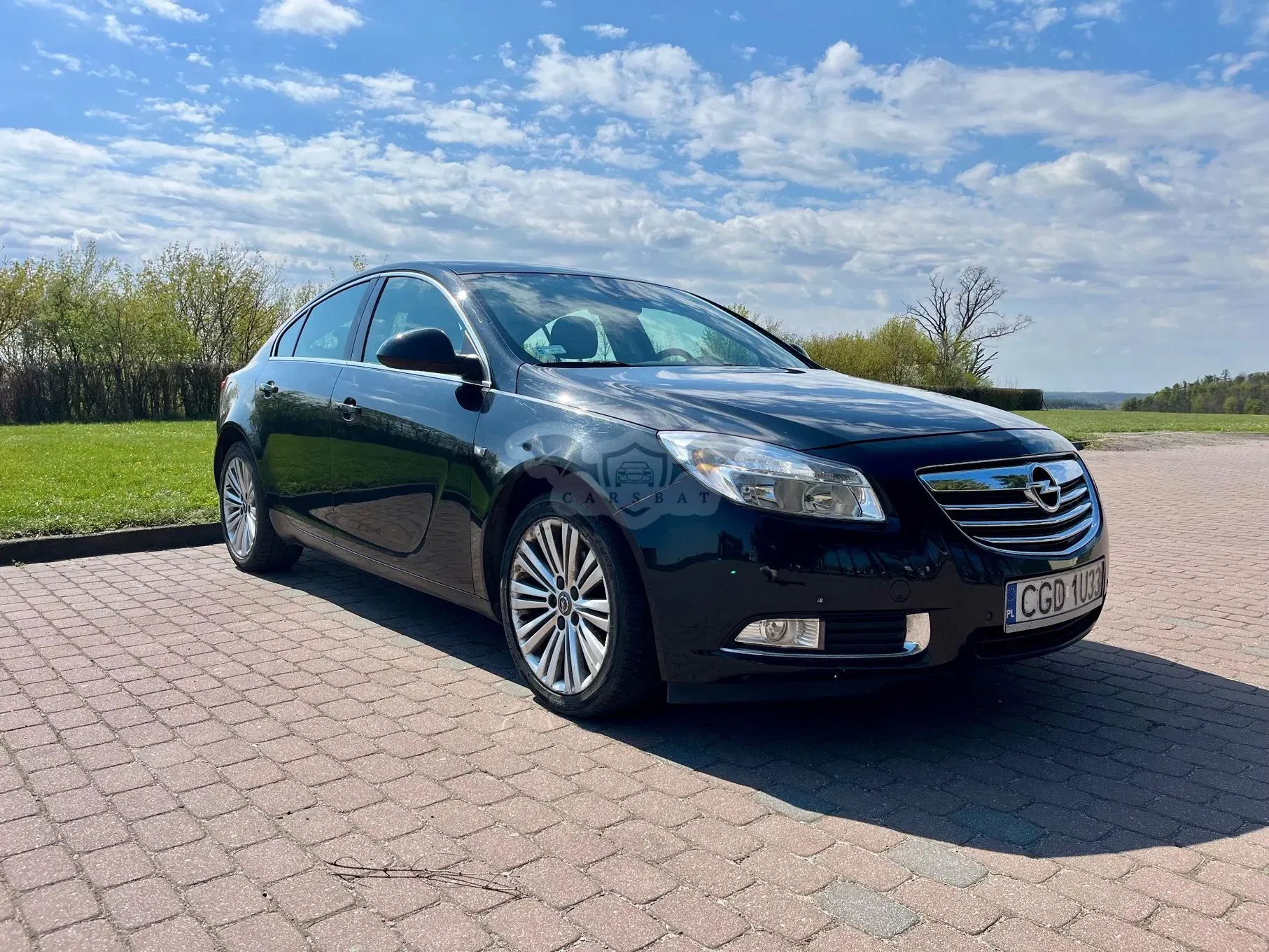 Opel Insignia A 2.0 CDTI EcoFLEX Start/Stop Active 2013