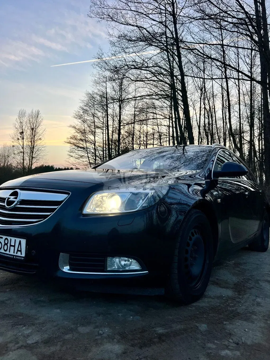 Opel Insignia A 2.0 CDTI Cosmo 2013