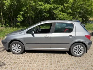 Peugeot 307 I 1.6 Mistral 2005