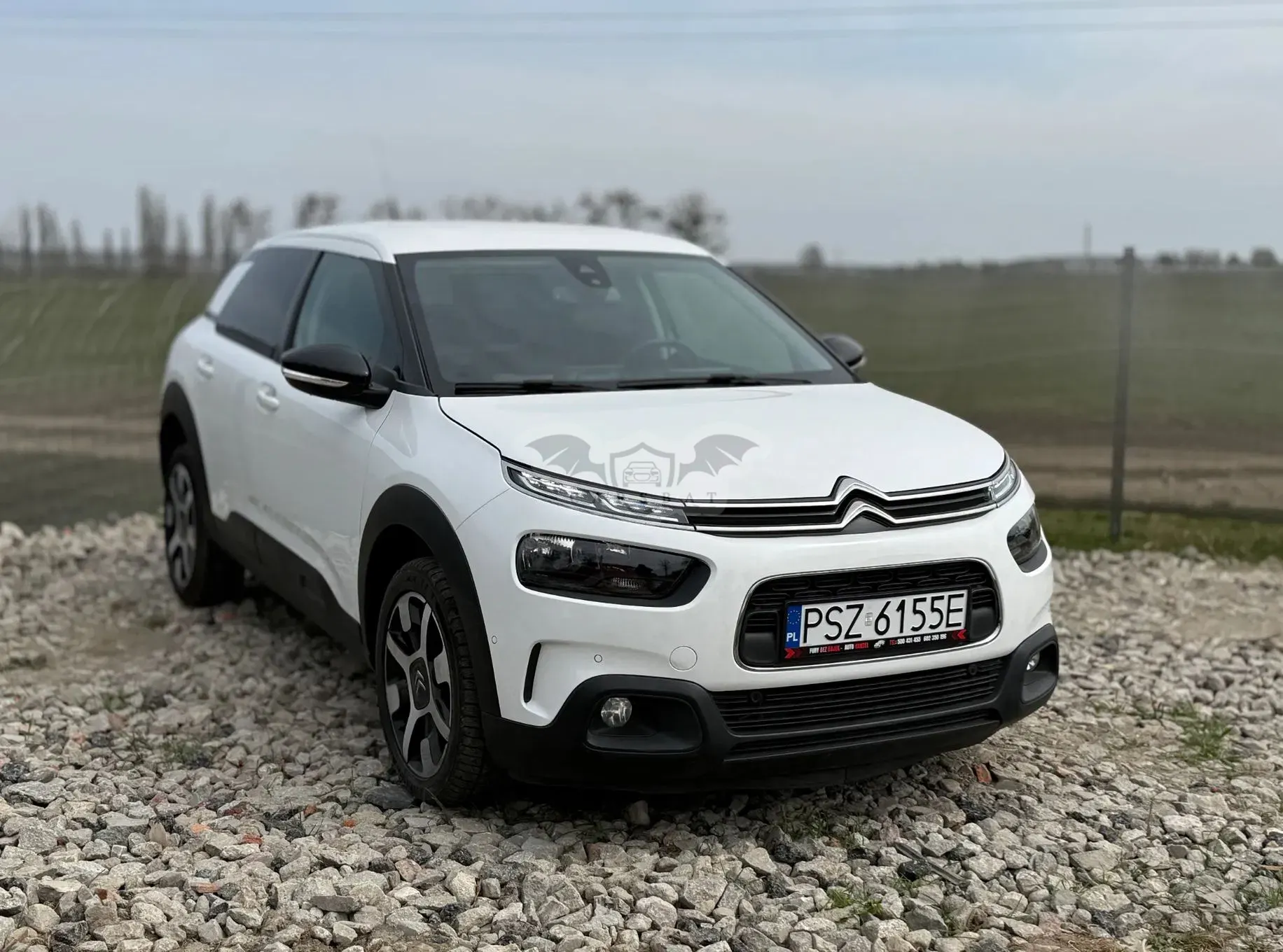 Citroën C4 Cactus BlueHDi 120 Stop&Start EAT6 Shine 2020