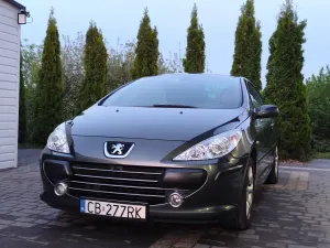 Peugeot 307 II 110 Tendance 2006