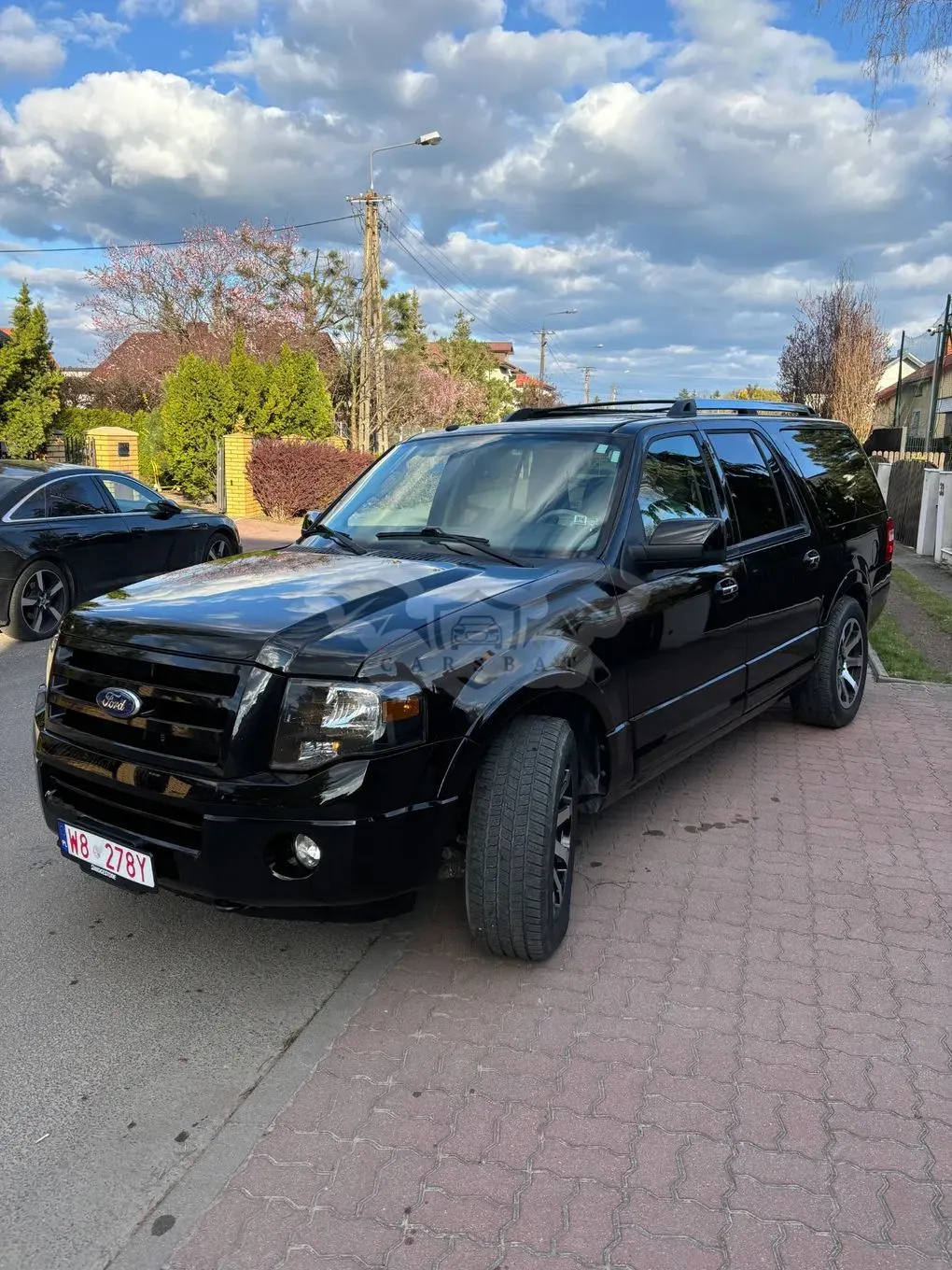 Ford Expedition 2010
