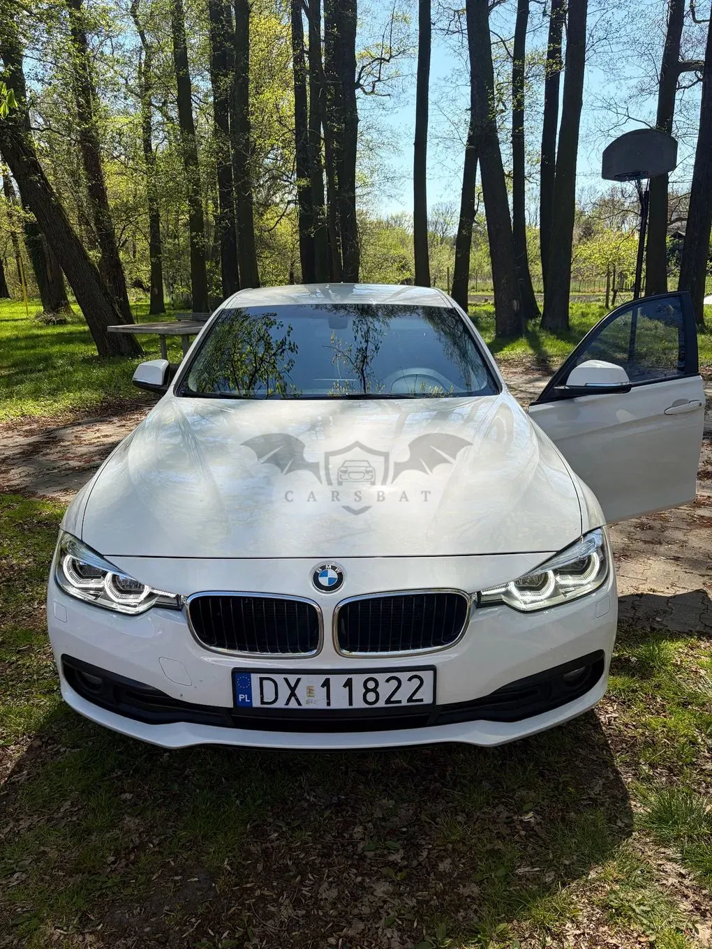 BMW 3 Series F30/F31 316d 2016