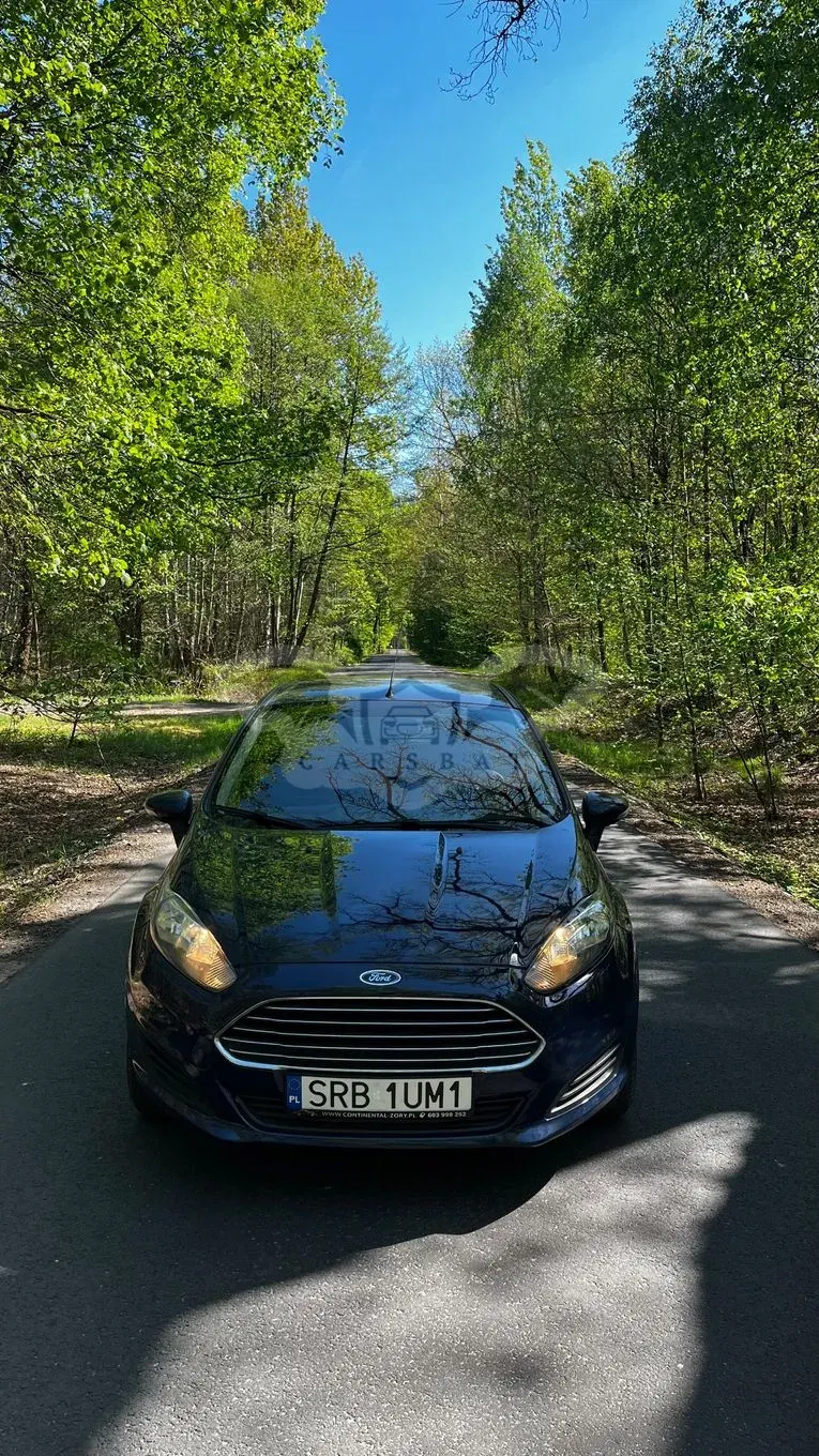 Ford Fiesta Mk7 1.5 TDCi Titanium 2015
