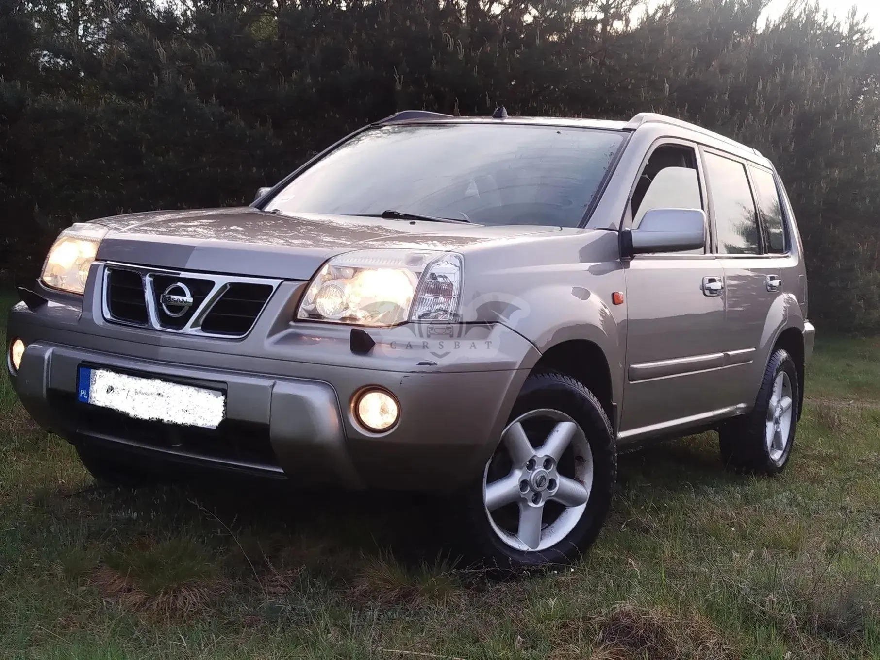 Nissan X-Trail I 2.0 4x4 Comfort 2004