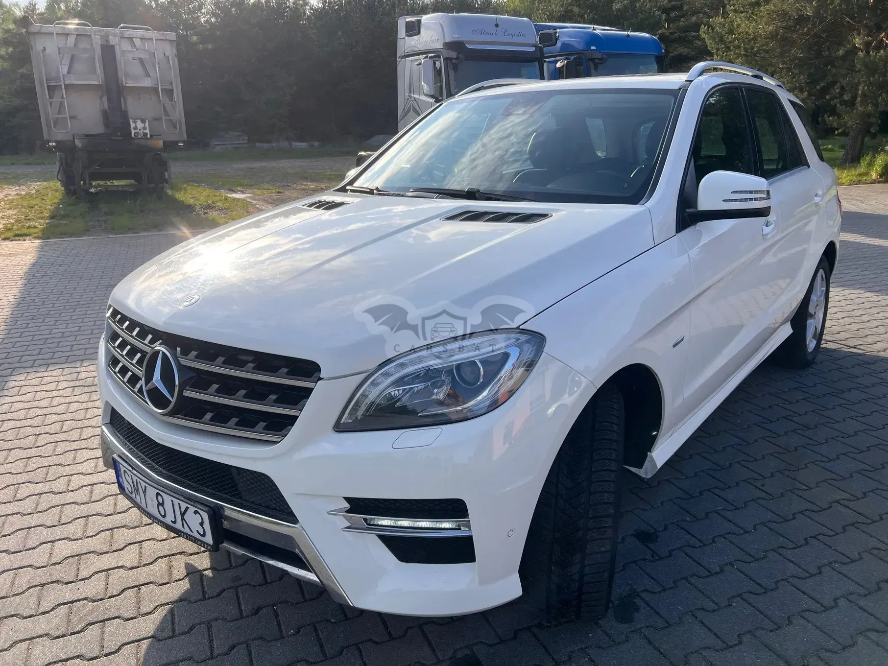 Mercedes-Benz ML W166 350 BlueTEC 4MATIC 7G-TRONIC 2014
