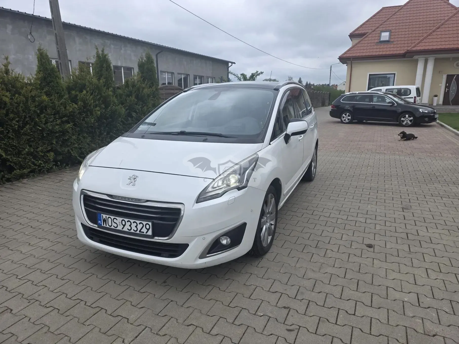 Peugeot 5008 I 2016