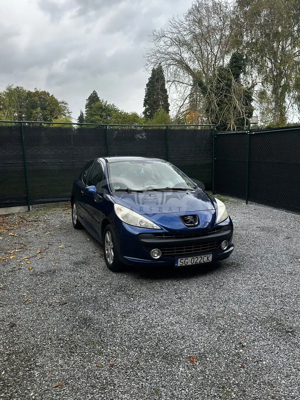 Peugeot 207 120 Premium 2009