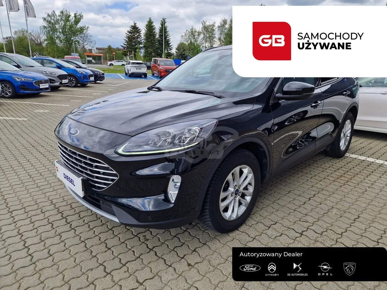 Ford Kuga III 2.0 EcoBlue AWD Titanium X 2022