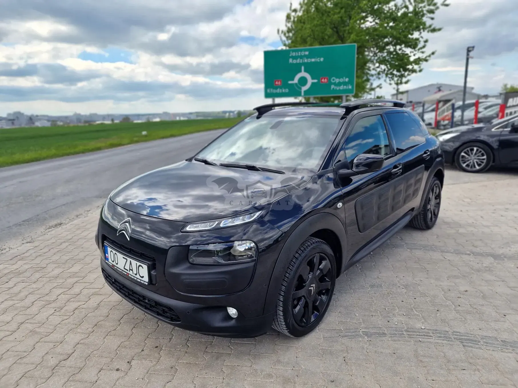 Citroën C4 Cactus PureTech 110 Stop&Start Shine Pack 2016