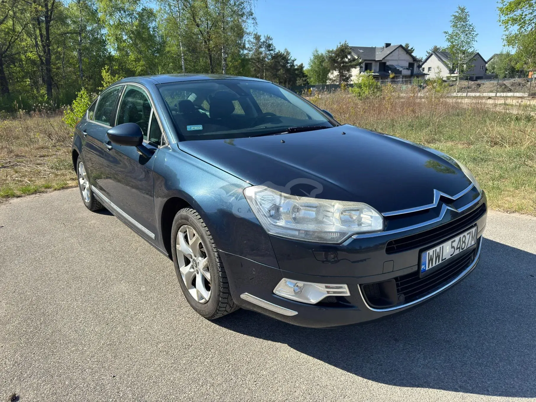 Citroën C5 III 2.0 HDi Dynamique 2008