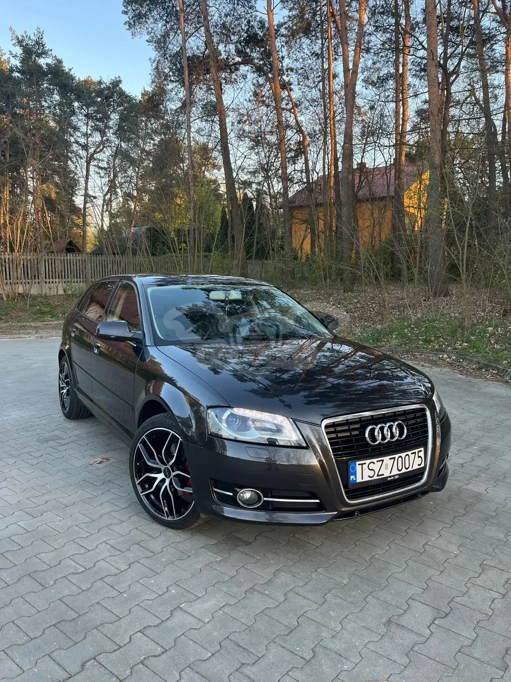 Audi A3 8P 2.0 TDI DPF Ambition 2012