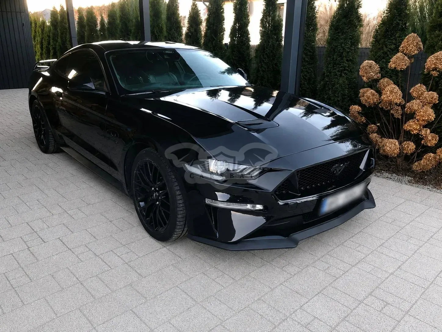 Ford Mustang 2022