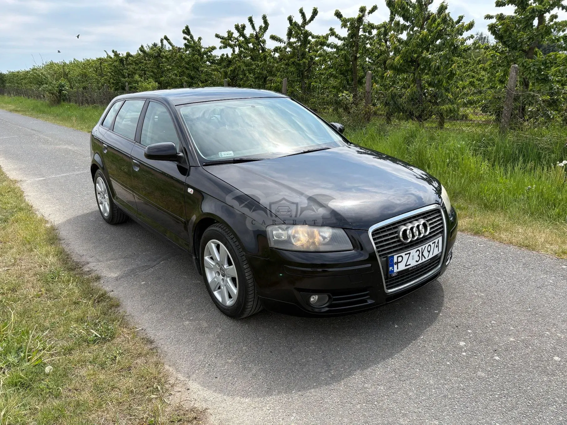 Audi A3 8P 2.0 TDI Ambiente 2007