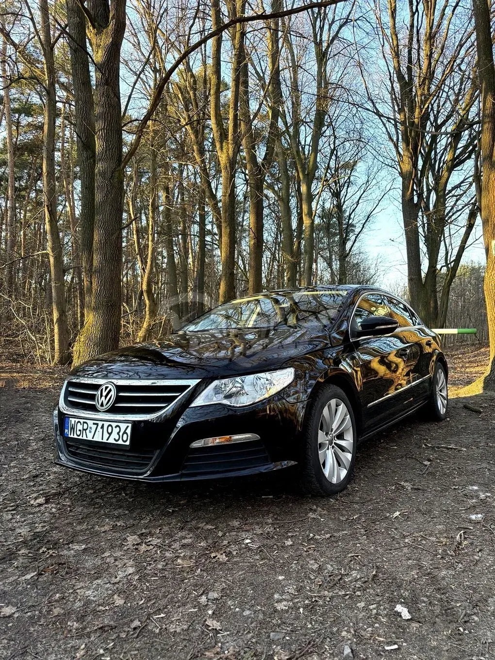Volkswagen Passat CC 2008