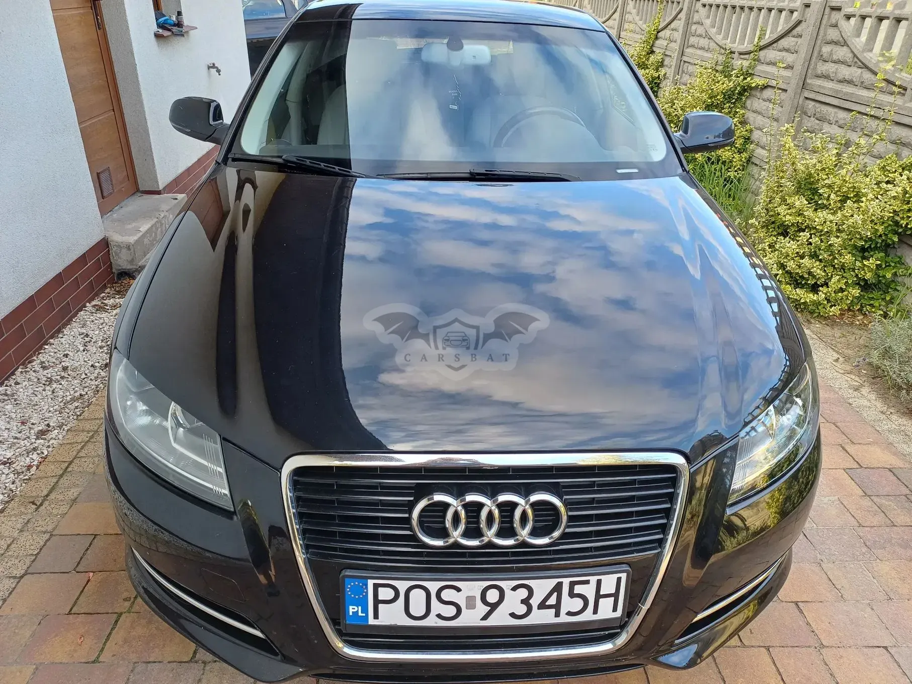 Audi A3 8P (2003-2012) 1.6 TDI 102g DPF 2011