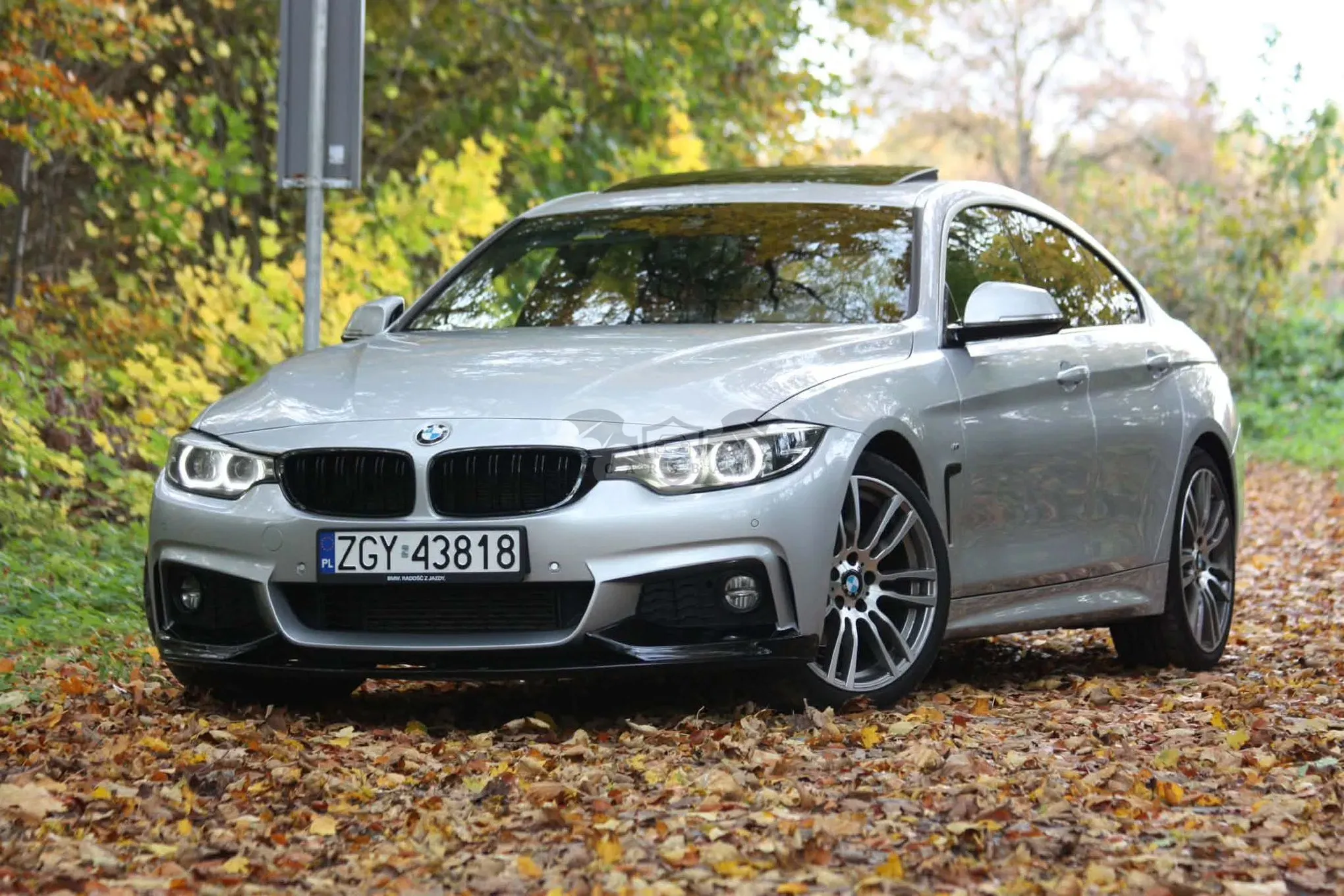 BMW 4 Series I F32/F33/F82 418d M Sport 2018