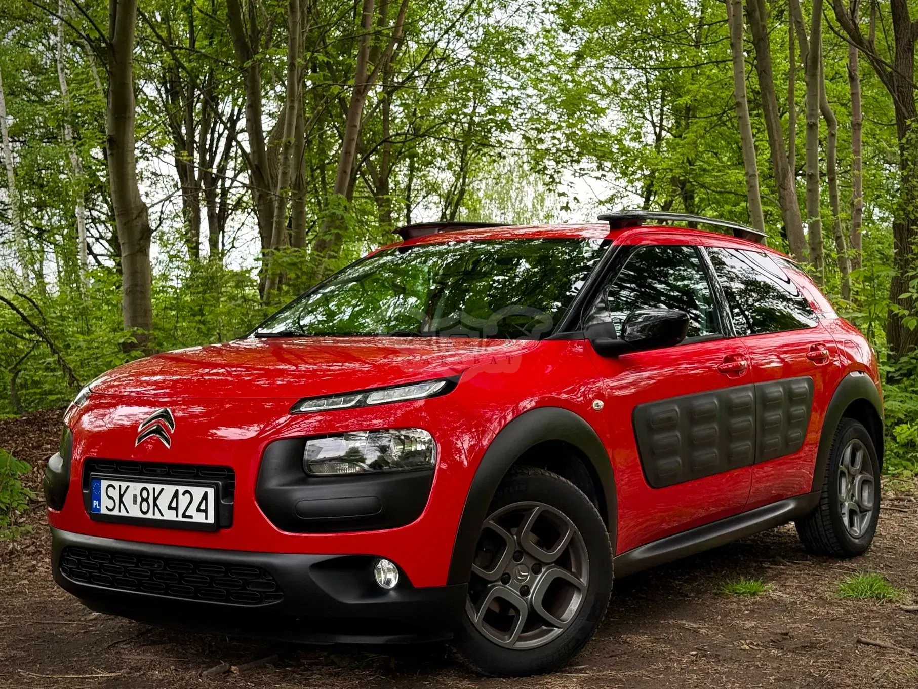 Citroën C4 Cactus 1.2 PureTech Shine S&S 2017