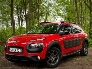Citroën C4 Cactus 1.2 PureTech Shine S&S 2017