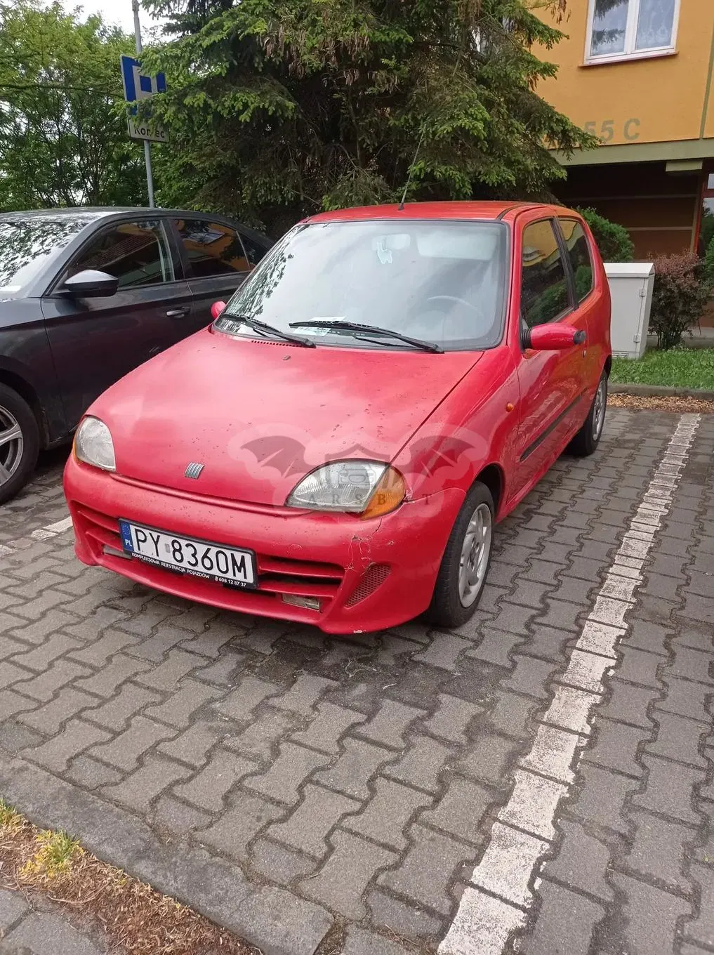 Fiat Seicento Schumacher 2000