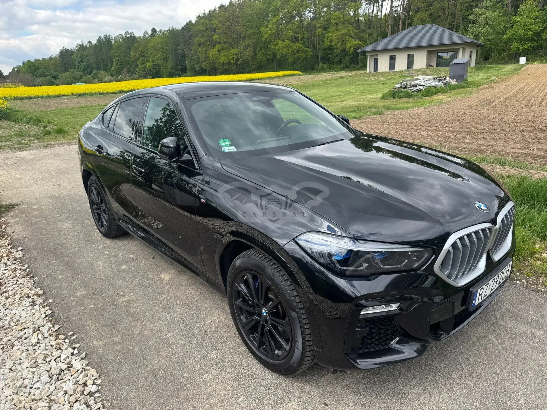 BMW X6 G06 2021